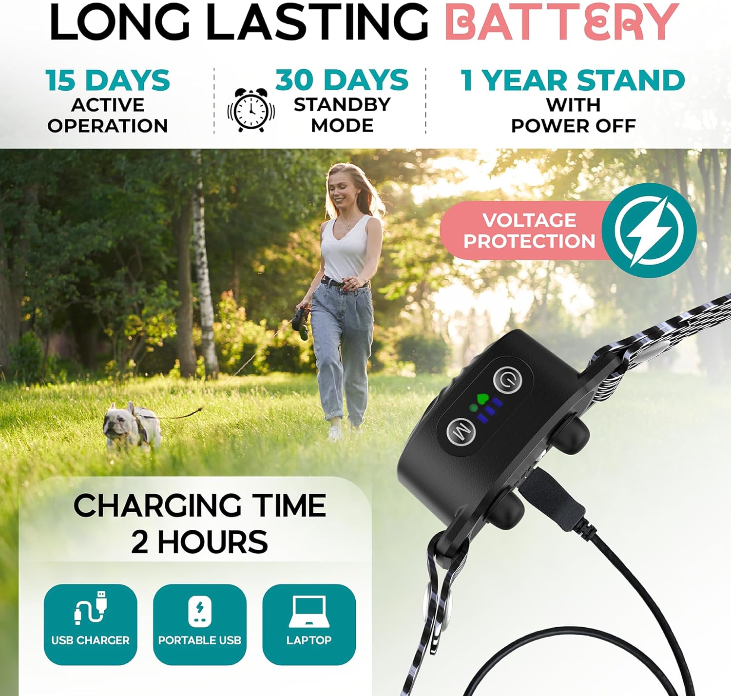 Anti-Bark Collar for Small Dogs | Features Sound & Vibration | IP87 Waterproof | Adjustable & Gentle Training Solution