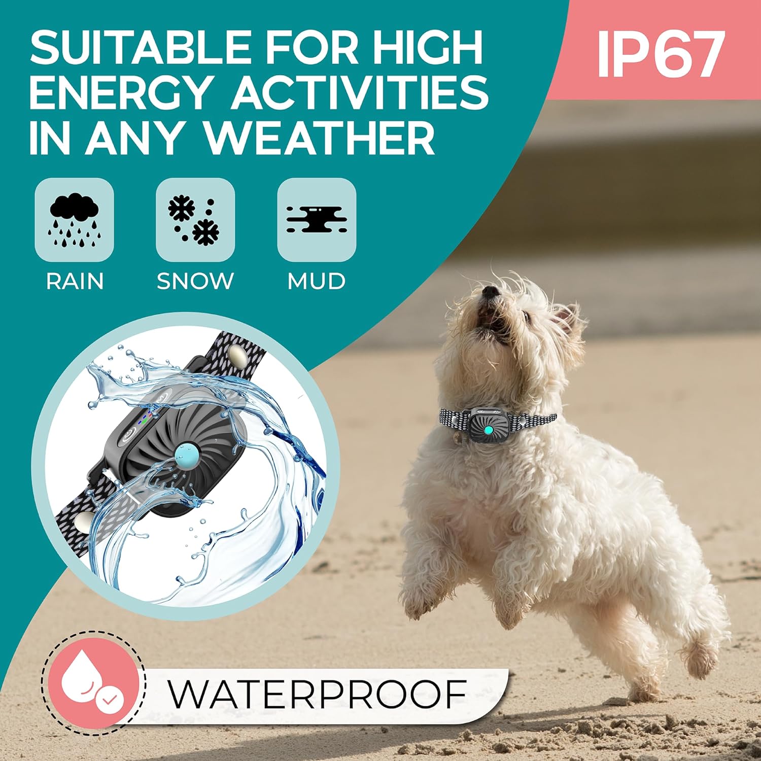 Anti-Bark Collar for Small Dogs | Features Sound & Vibration | IP87 Waterproof | Adjustable & Gentle Training Solution