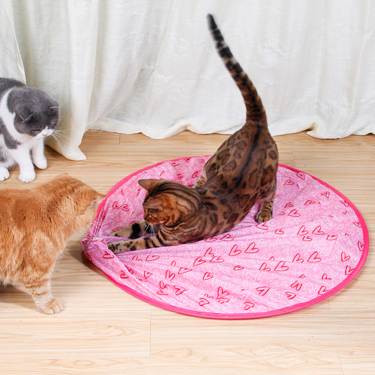Activate Your Cat's Natural Instincts