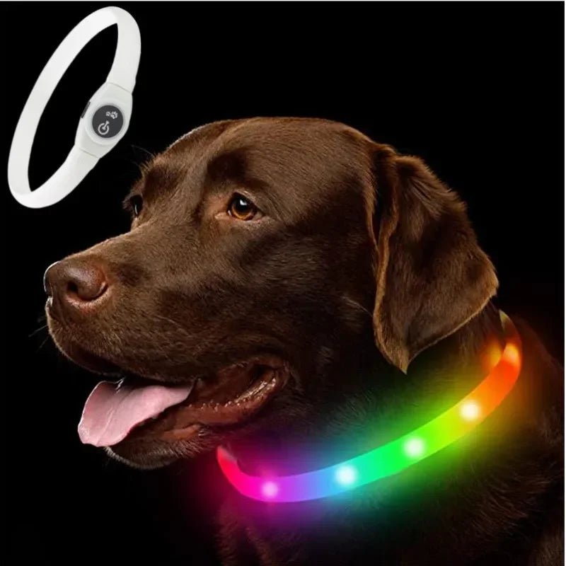 LED Dog Collar for Safe Night Walks