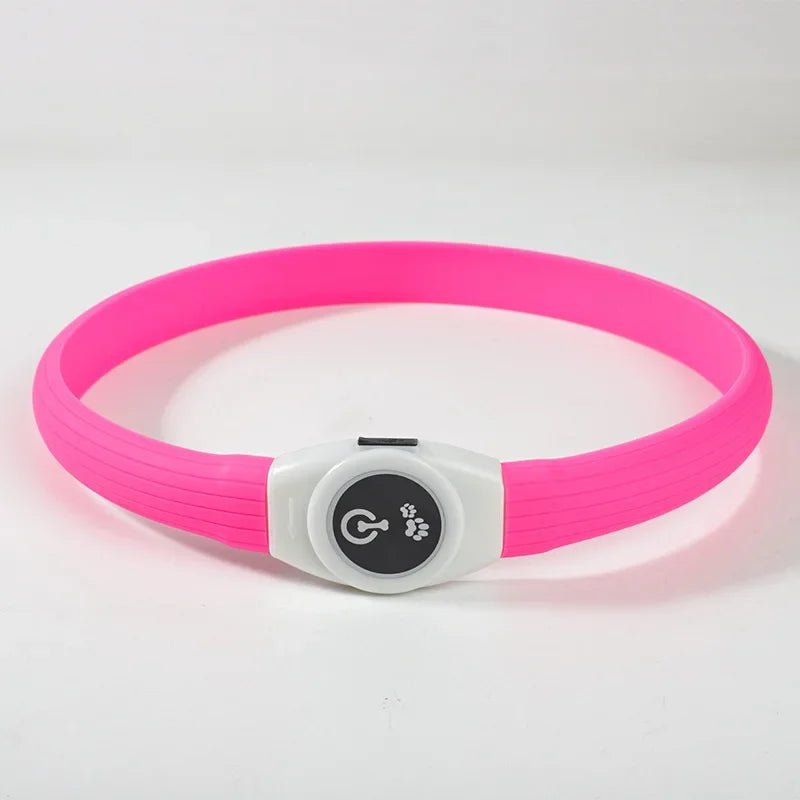 LED Dog Collar for Safe Night Walks