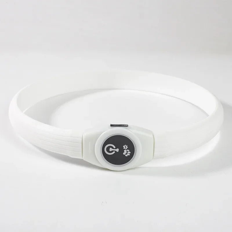 LED Dog Collar for Safe Night Walks