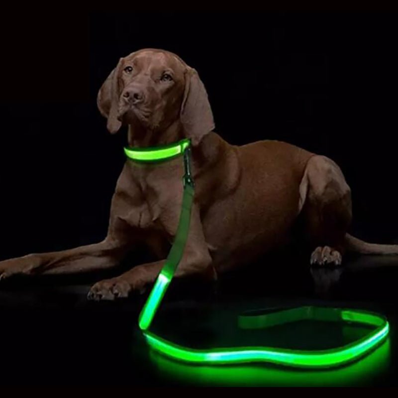 LED Dog Leash with USB Charging & Reflective Design