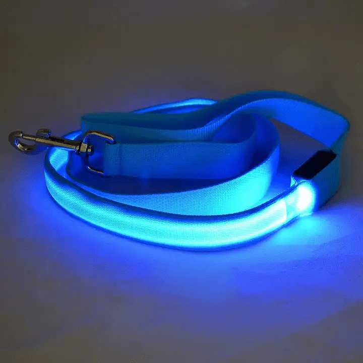 LED Dog Leash with USB Charging & Reflective Design