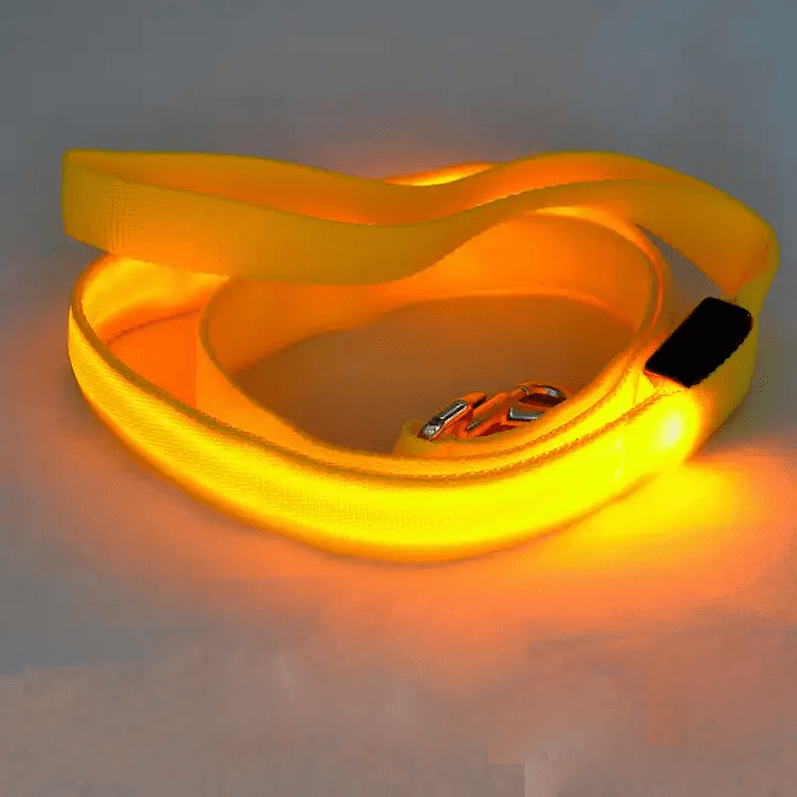 LED Dog Leash with USB Charging & Reflective Design