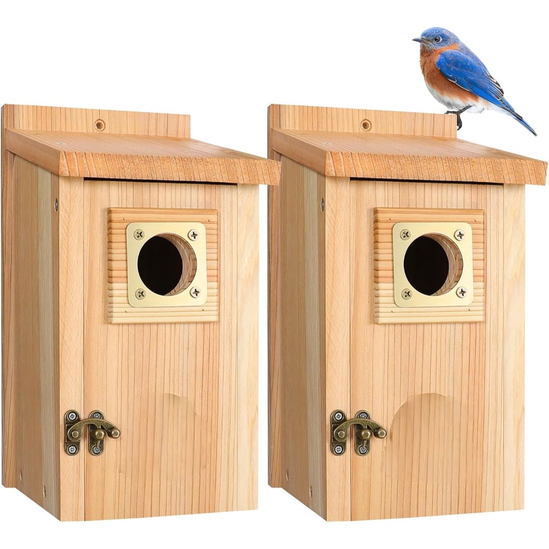 Wood Nesting House for Blue Jays, Swallows, and Small Birds