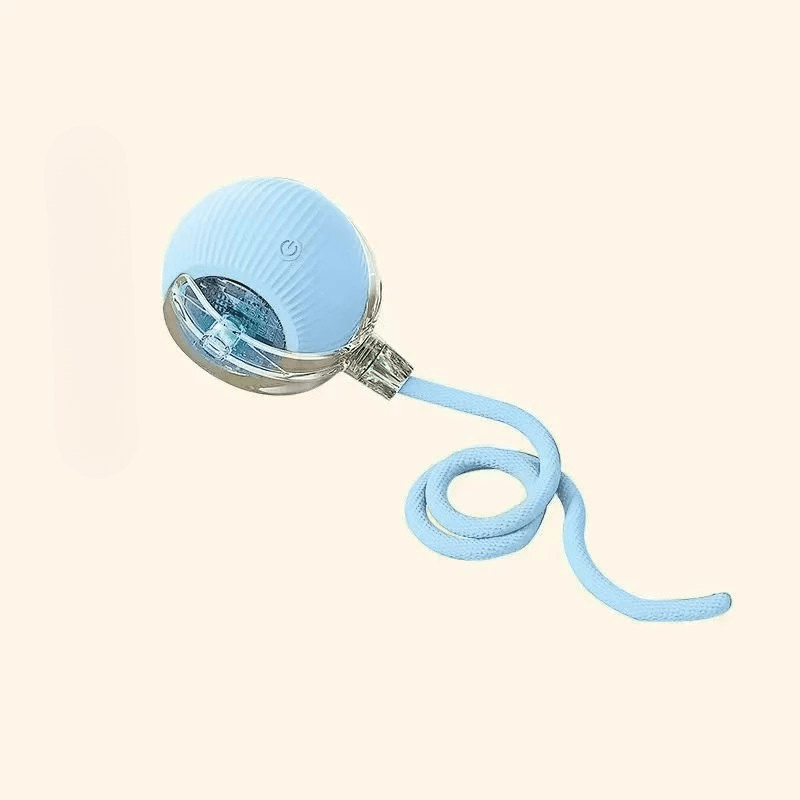 Interactive Rechargeable Bouncing Dog Ball