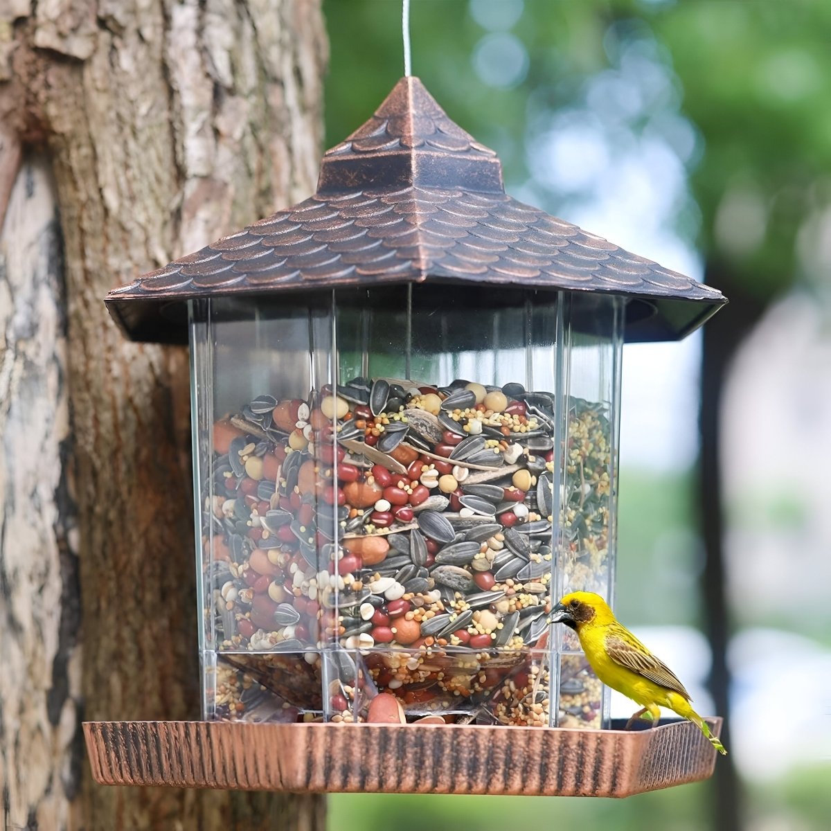 Elegant Copper-Look Bird Feeder for Weatherproof Hanging Decoration
