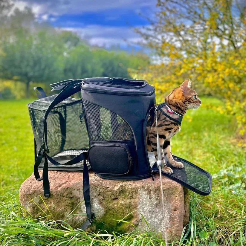 Comfortable Cat Backpack with Viewing Window