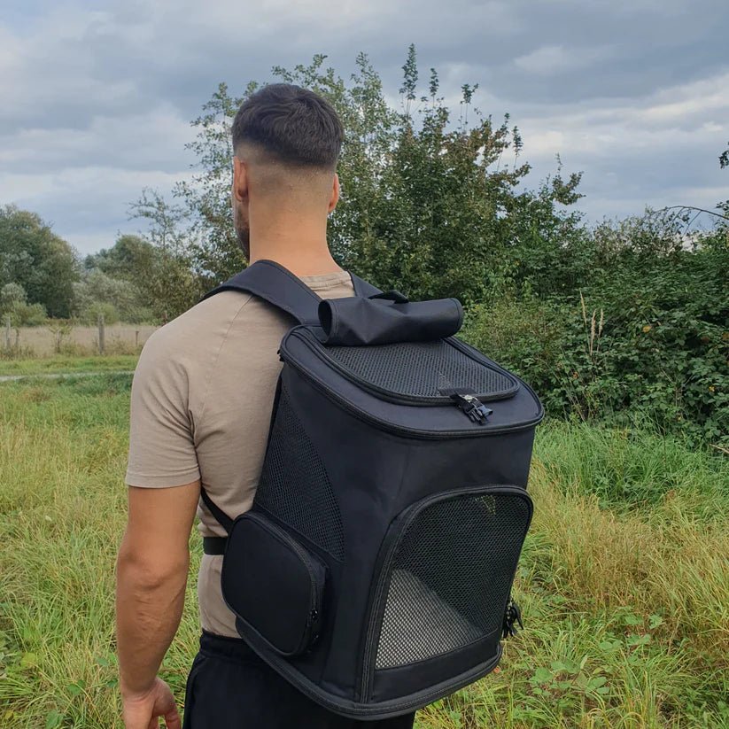Comfortable Cat Backpack with Viewing Window