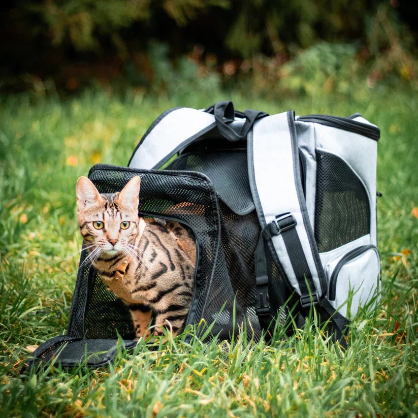 Comfortable Cat Backpack with Viewing Window