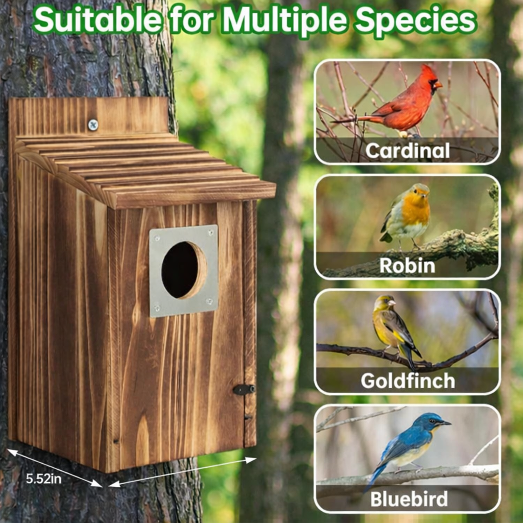 Wood Nesting House for Blue Jays, Swallows, and Small Birds