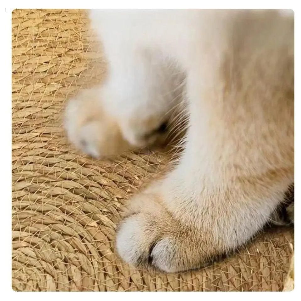 Ultra Soft and Cozy Cat Bed
