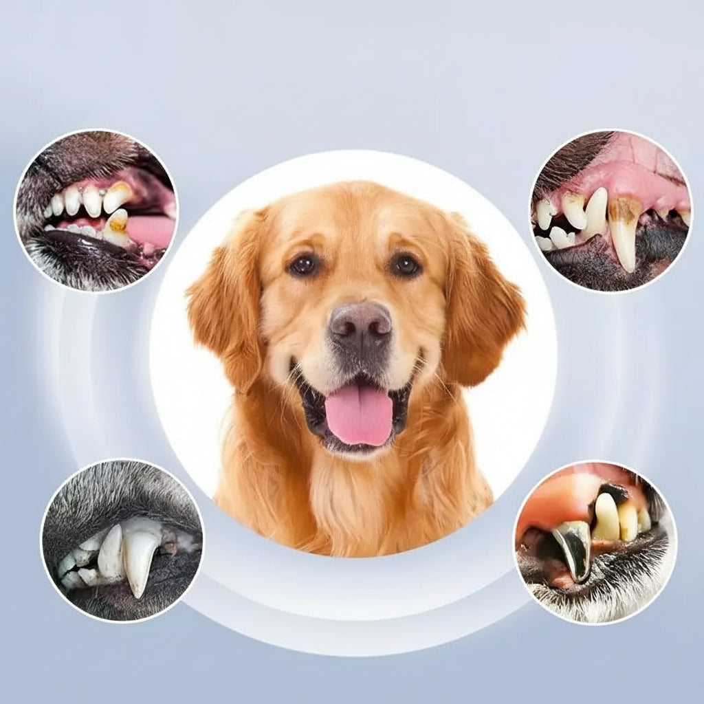 Advanced Ultrasonic Teeth Cleaning Device for Pets with 5 Care Levels