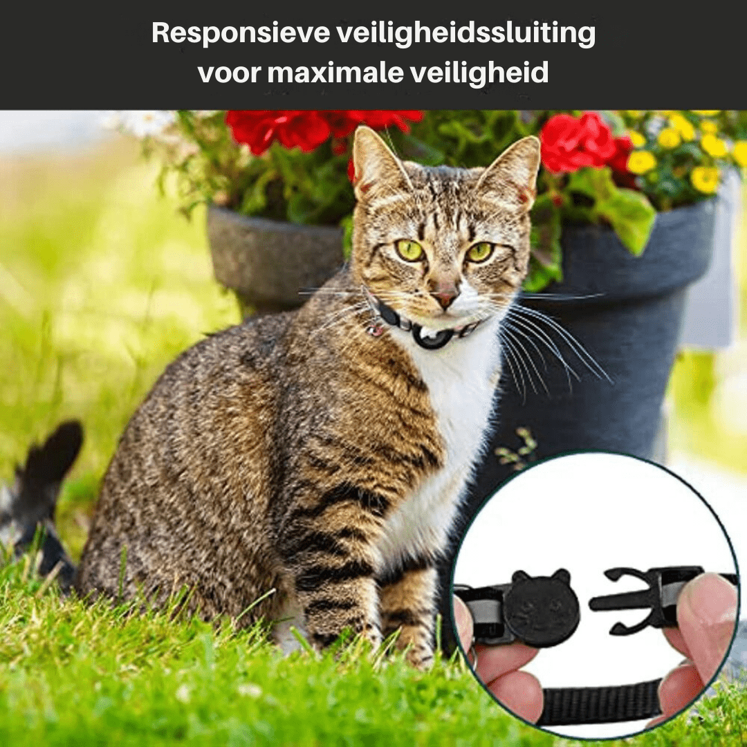 GPS Tracker Collar for Cat Safety and Visibility