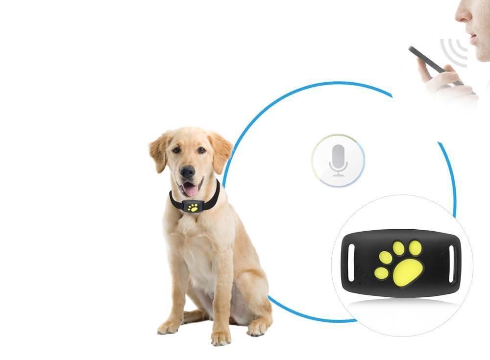 GPS Tracker for Cats – Real-Time Location Tracking Without Subscription