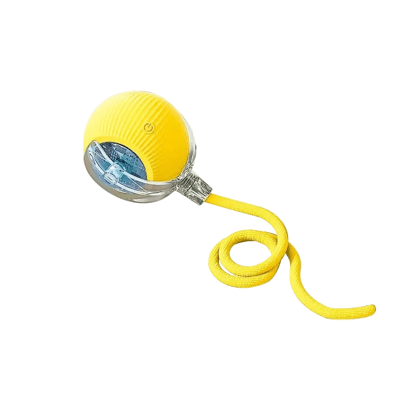 Interactive Rechargeable Bouncing Dog Ball