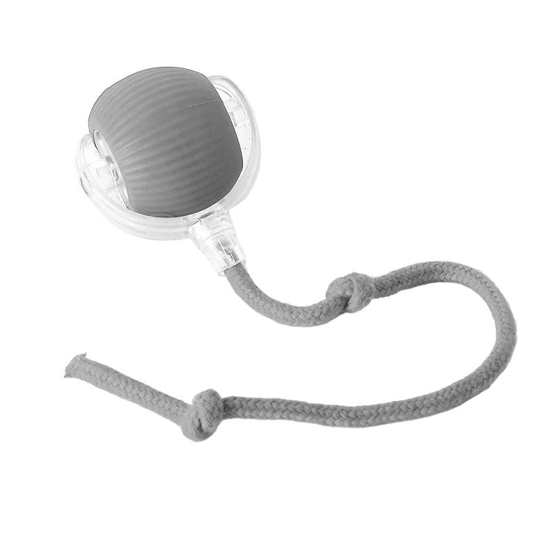 Interactive Rechargeable Bouncing Dog Ball