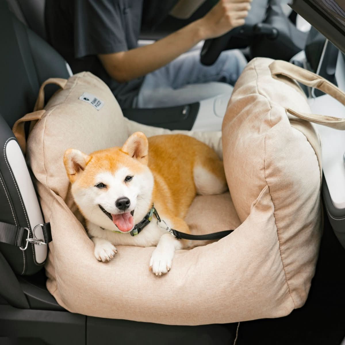 Dog Seat Bed with Safety Belt & Non-Slip Bottom for Comfortable Rides