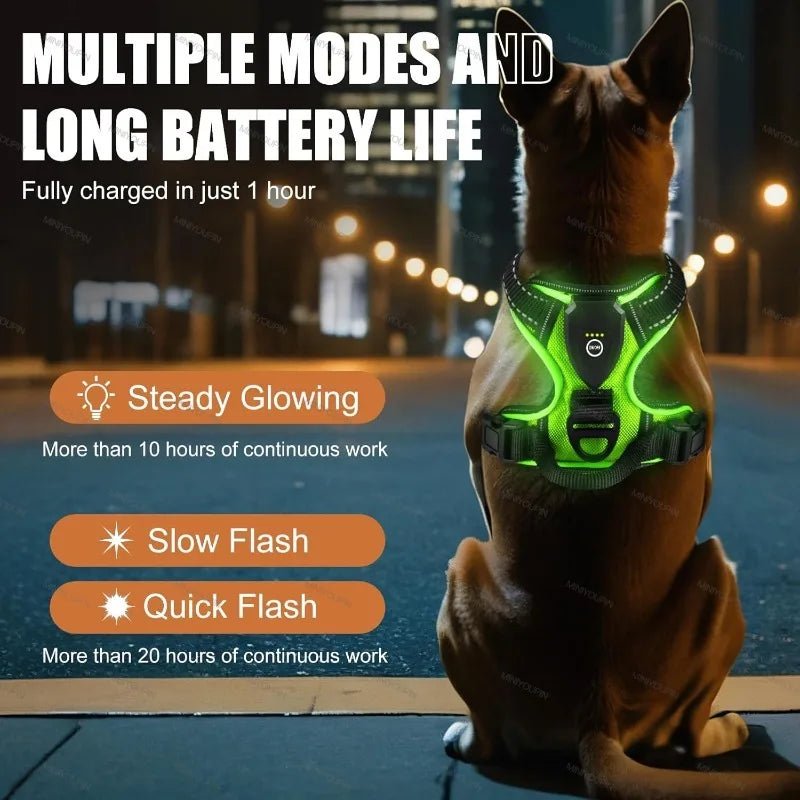 Rechargeable LED Dog Harness for Enhanced Nighttime Safety