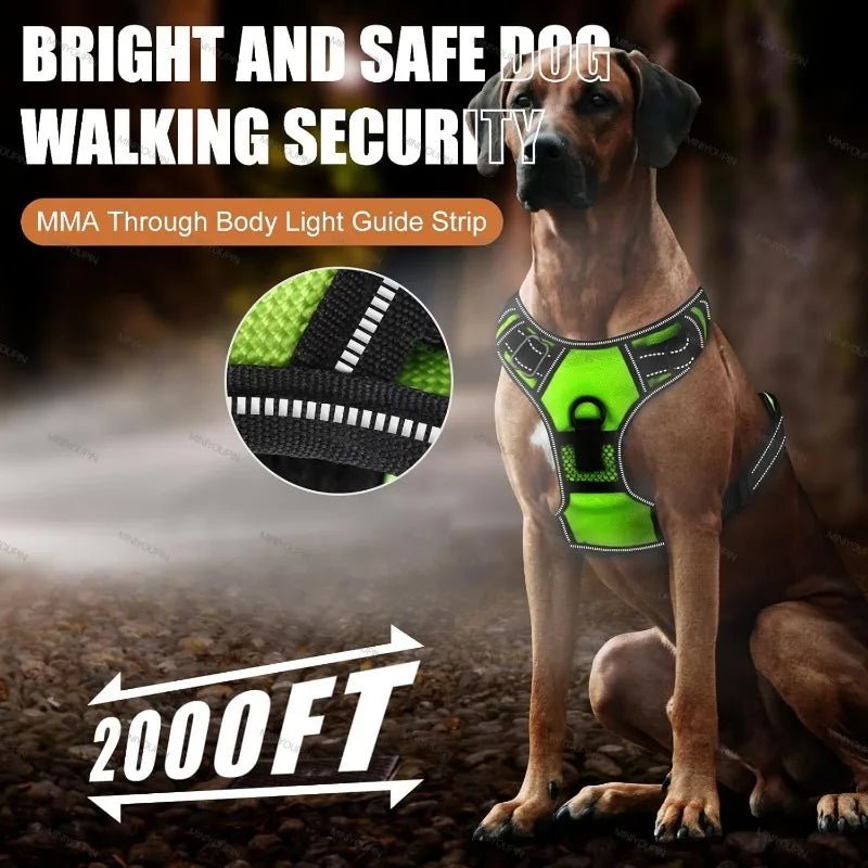 Rechargeable LED Dog Harness for Enhanced Nighttime Safety