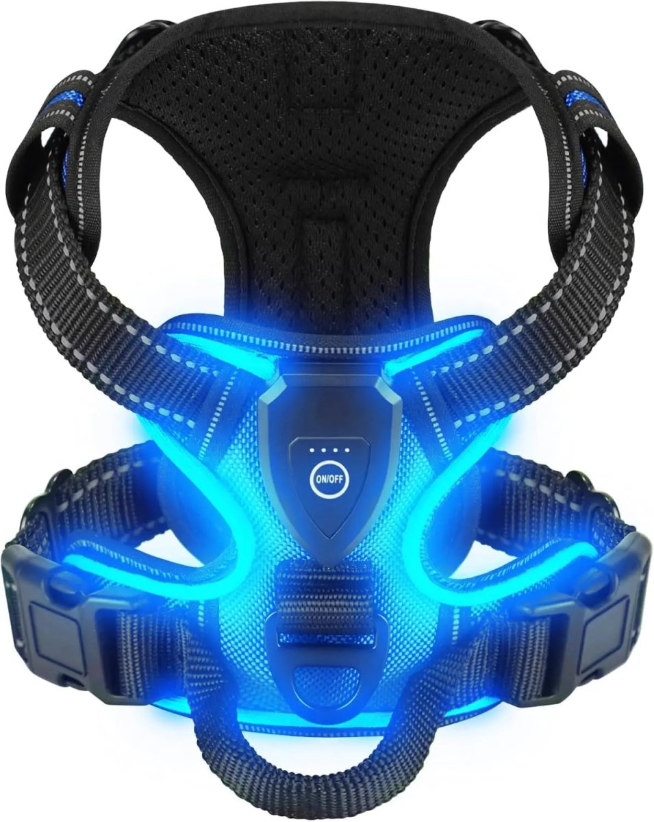Rechargeable LED Dog Harness for Enhanced Nighttime Safety