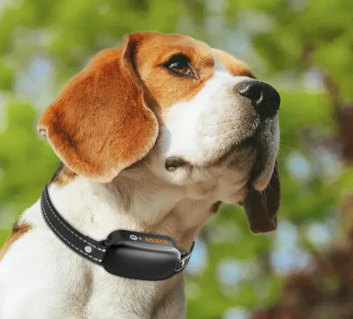 Electric Training Collar with Precise Control Up to 1000 m
