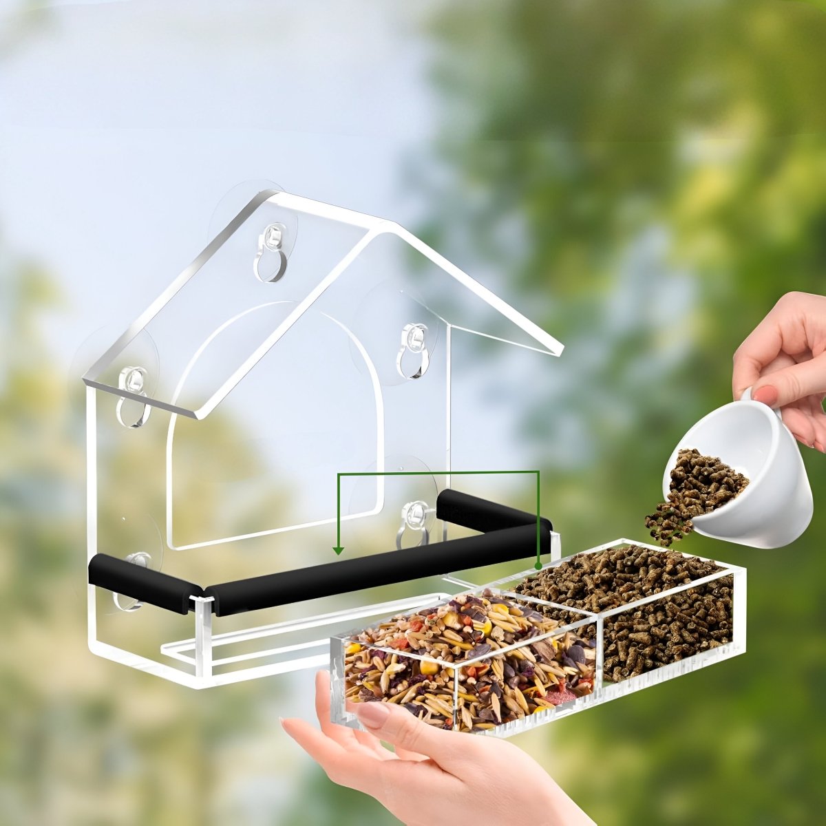 Acrylic Window Bird Feeder with Strong Suction Cups for Close Observation