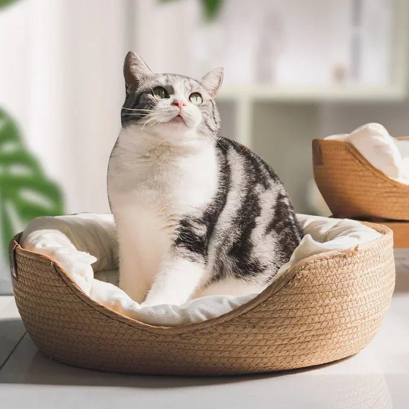 Eco-Friendly Cat Sofa with Breathable Cotton Design