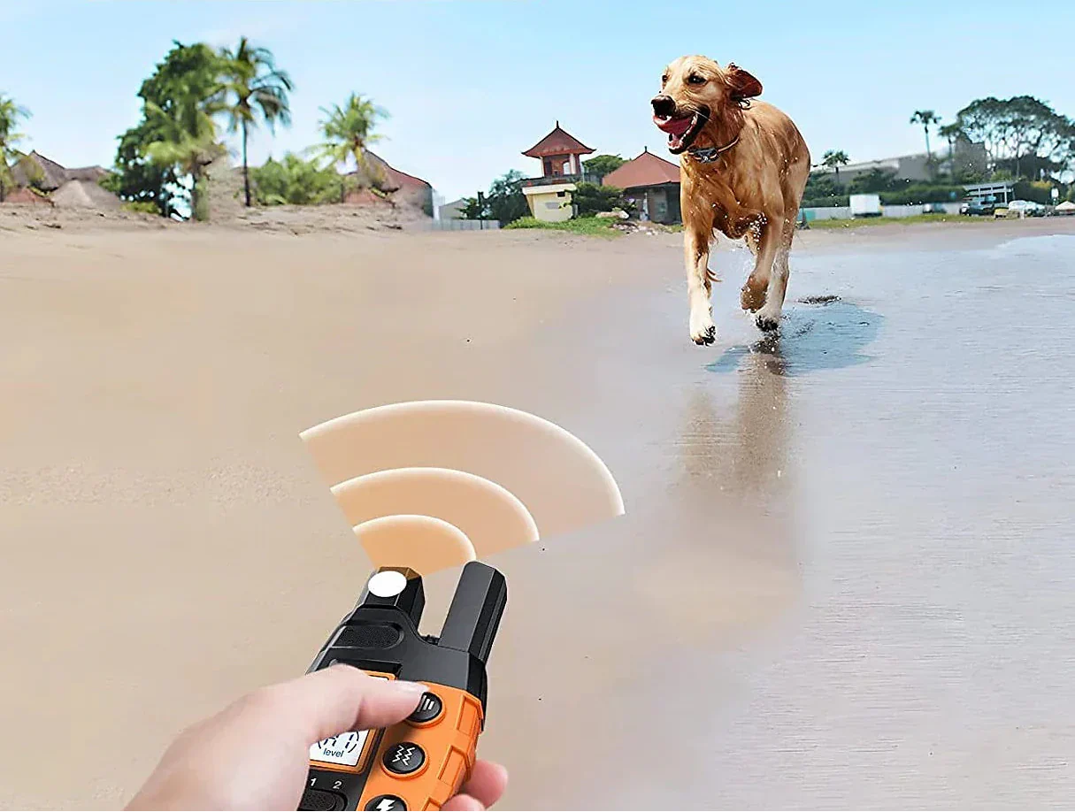 1000m Remote Waterproof Dog Training Collar