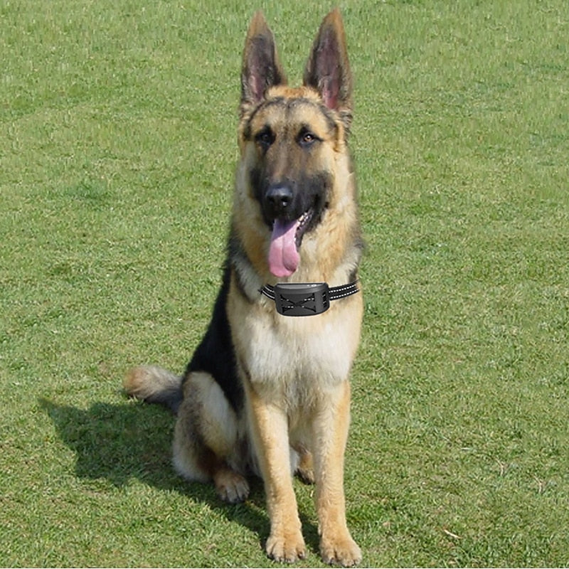 Wireless Dog Fence System with Collar, 9–240m
