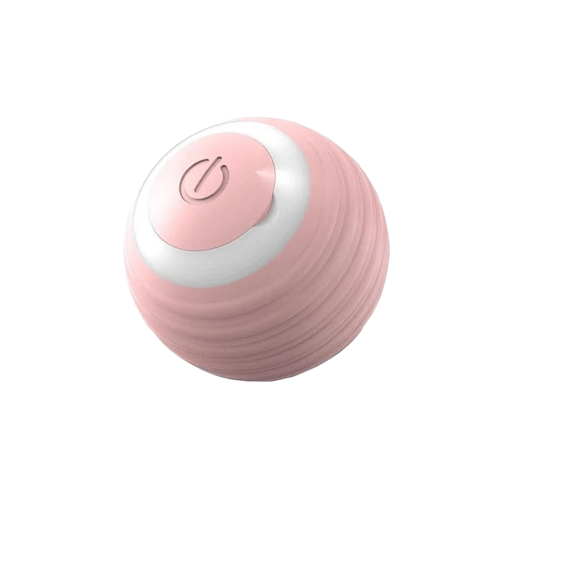 Interactive Rechargeable Bouncing Dog Ball