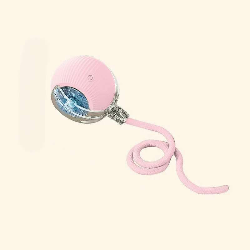 Interactive Rechargeable Bouncing Dog Ball