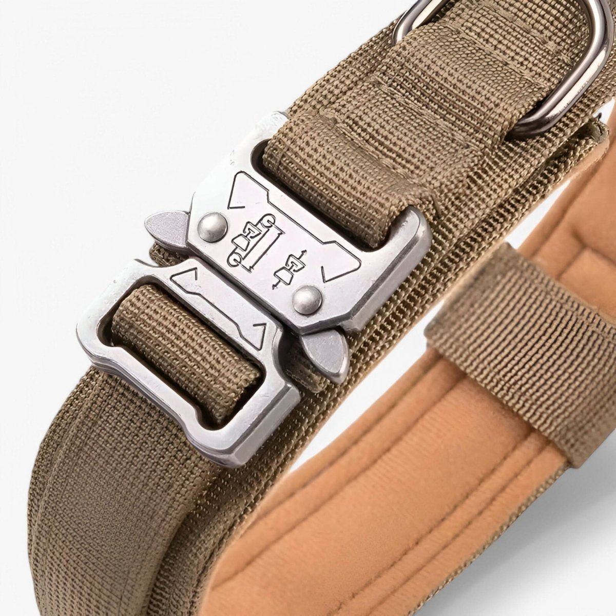 Durable Adjustable Dog Collar Set – Ideal for Training and Everyday Use