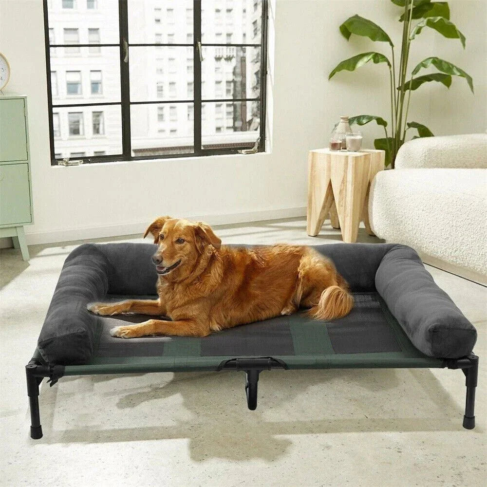 Elevated Dog Bed for Garden & Outdoor Use