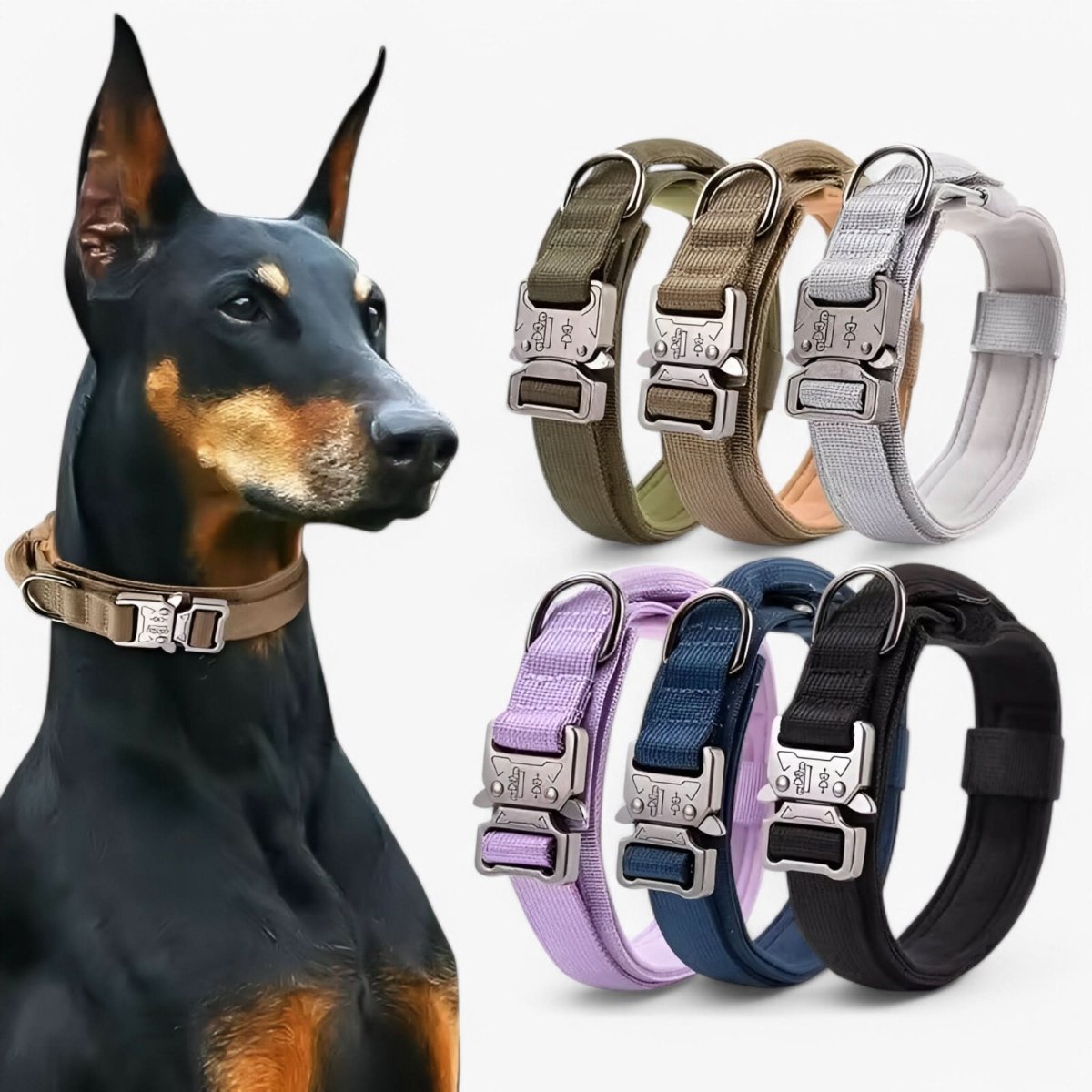 Durable Adjustable Dog Collar Set – Ideal for Training and Everyday Use