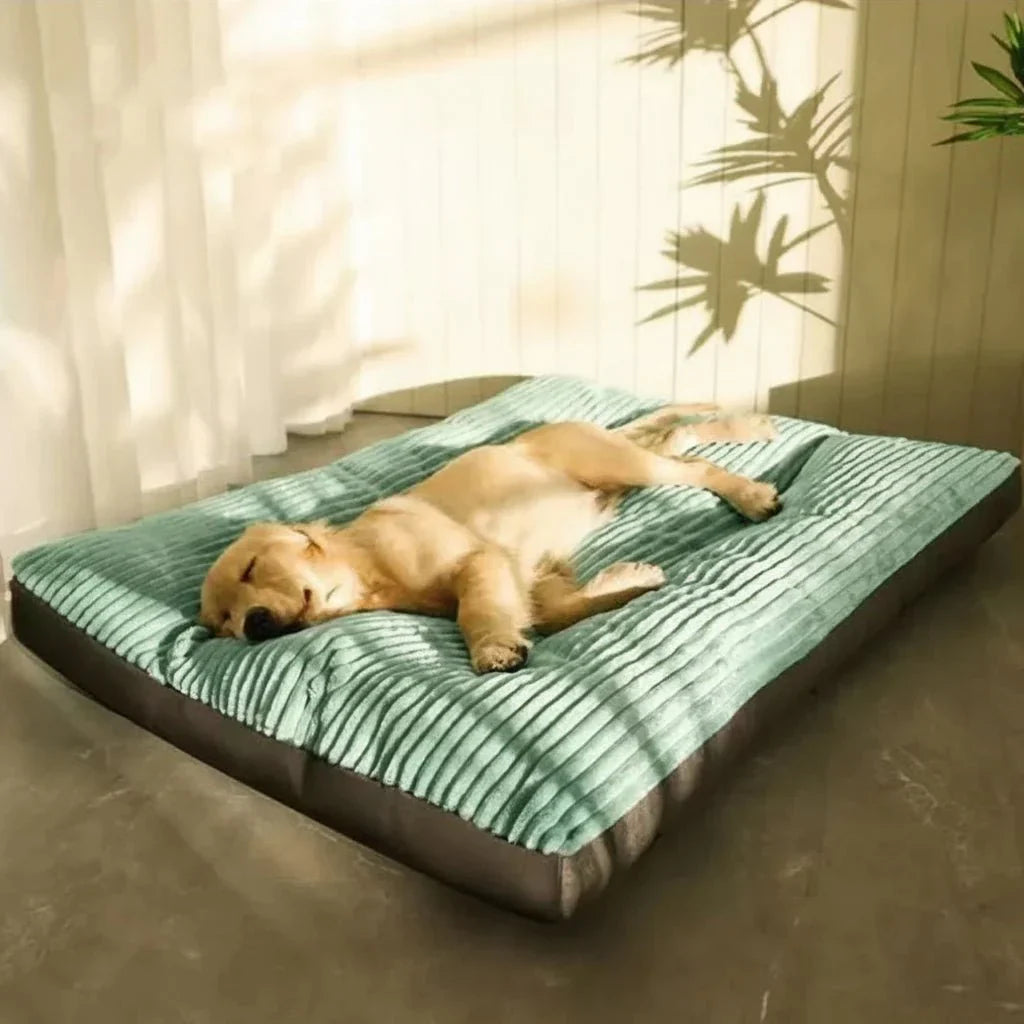 Cozy Comfort Bed for Dogs