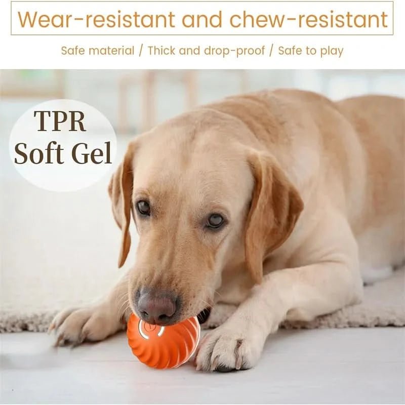 Interactive Rechargeable Bouncing Dog Ball