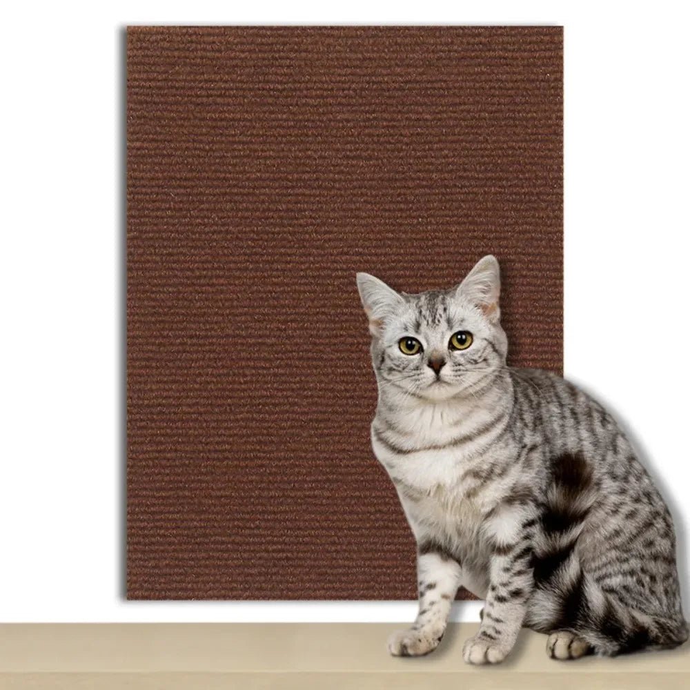 Self-Adhesive Protection Plate for Cats to Safeguard Furniture, Walls & Carpets