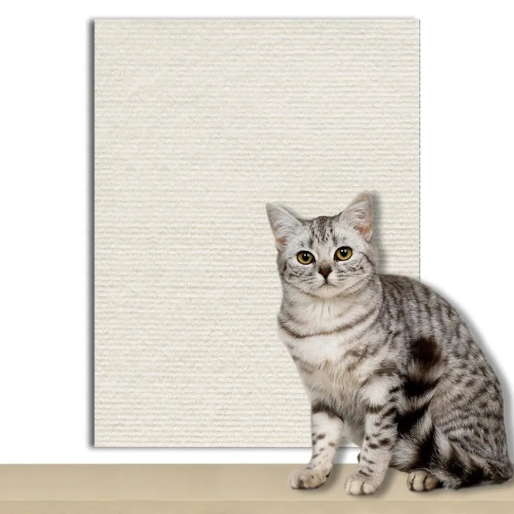 Self-Adhesive Protection Plate for Cats to Safeguard Furniture, Walls & Carpets