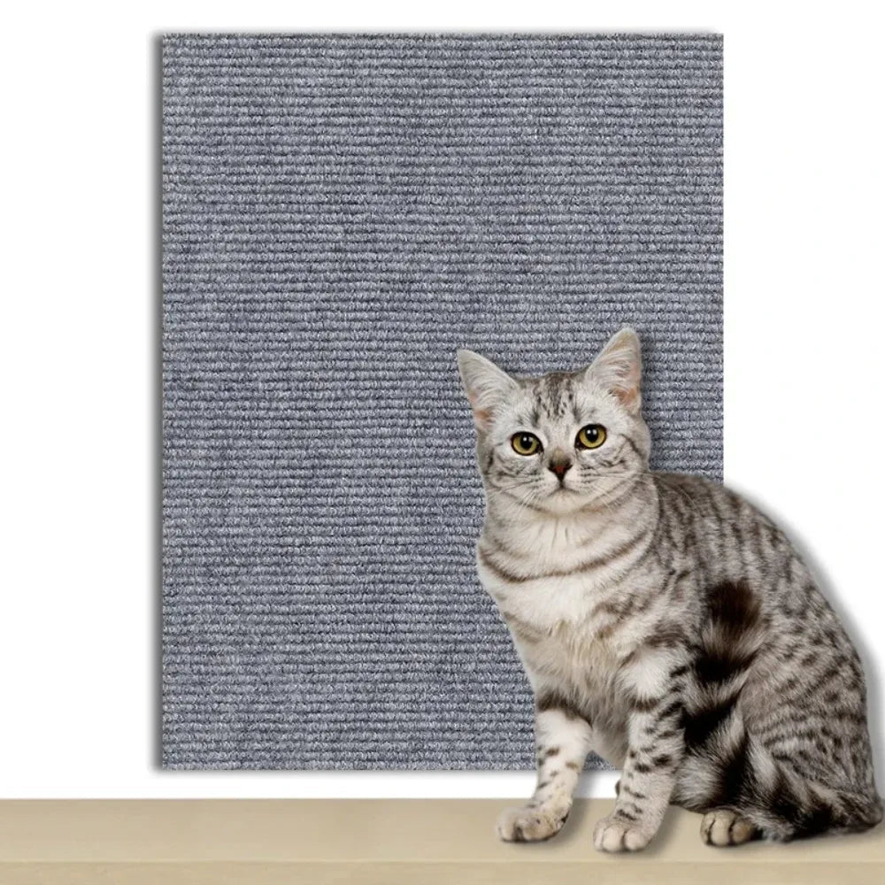 Self-Adhesive Protection Plate for Cats to Safeguard Furniture, Walls & Carpets