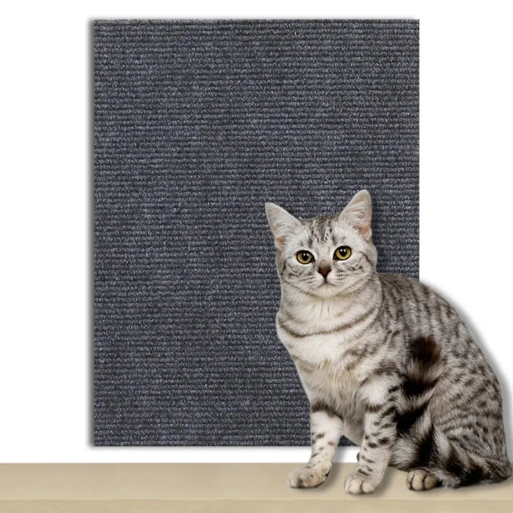 Self-Adhesive Protection Plate for Cats to Safeguard Furniture, Walls & Carpets