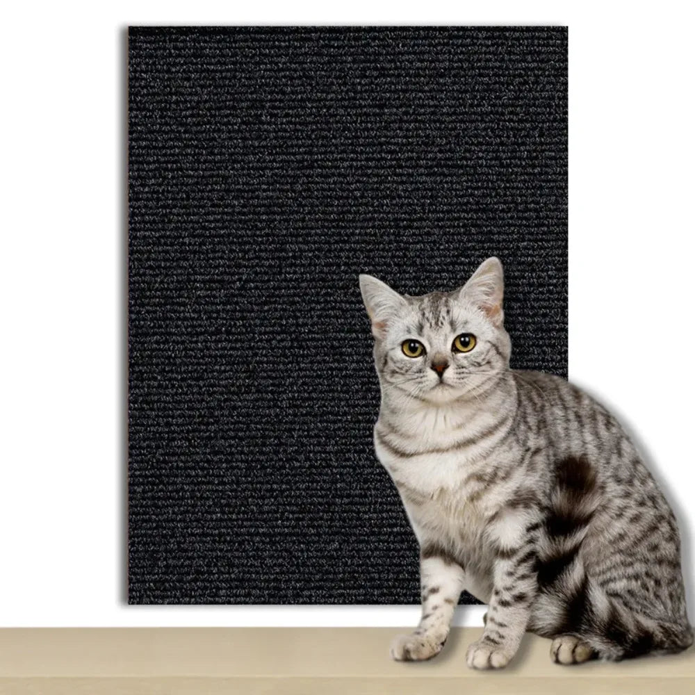 Self-Adhesive Protection Plate for Cats to Safeguard Furniture, Walls & Carpets
