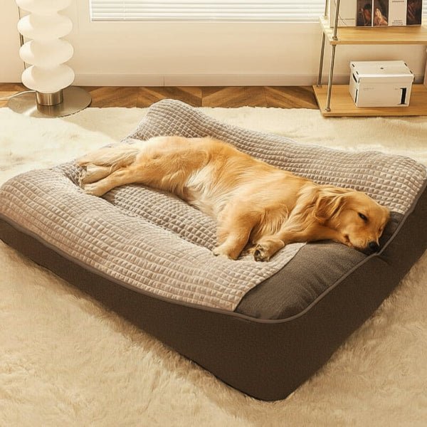 Large Scratch-Resistant Dog Bed with Orthopedic Spine Support