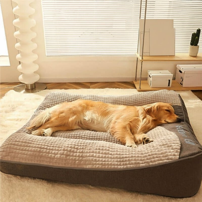 Large Scratch-Resistant Dog Bed with Orthopedic Spine Support