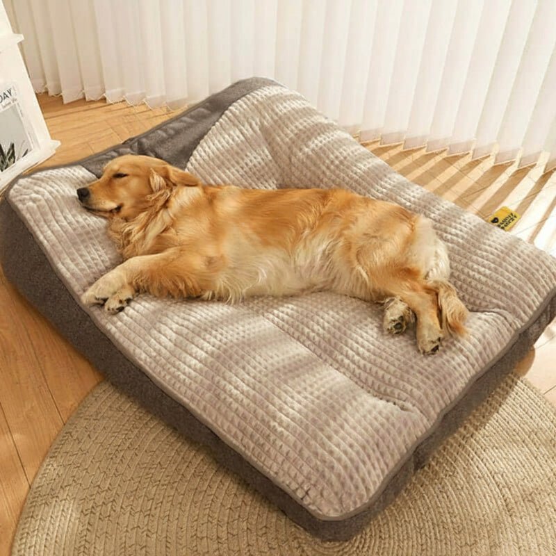 Large Scratch-Resistant Dog Bed with Orthopedic Spine Support