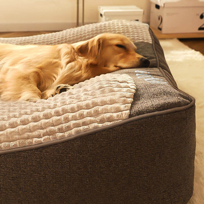 Large Scratch-Resistant Dog Bed with Orthopedic Spine Support