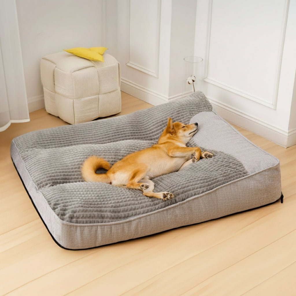 Large Scratch-Resistant Dog Bed with Orthopedic Spine Support