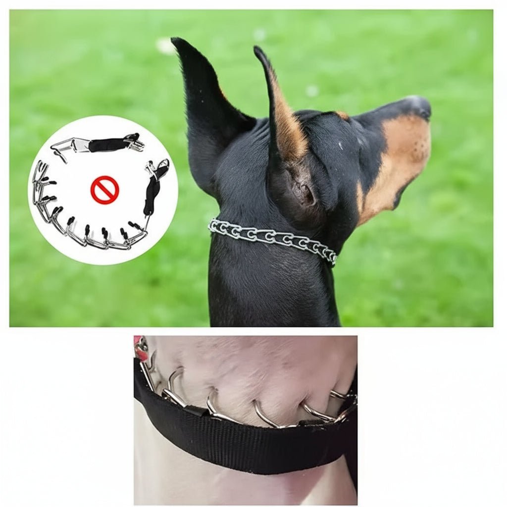 Dog Training Prong Collar with Durable Steel and Soft Nylon Protection