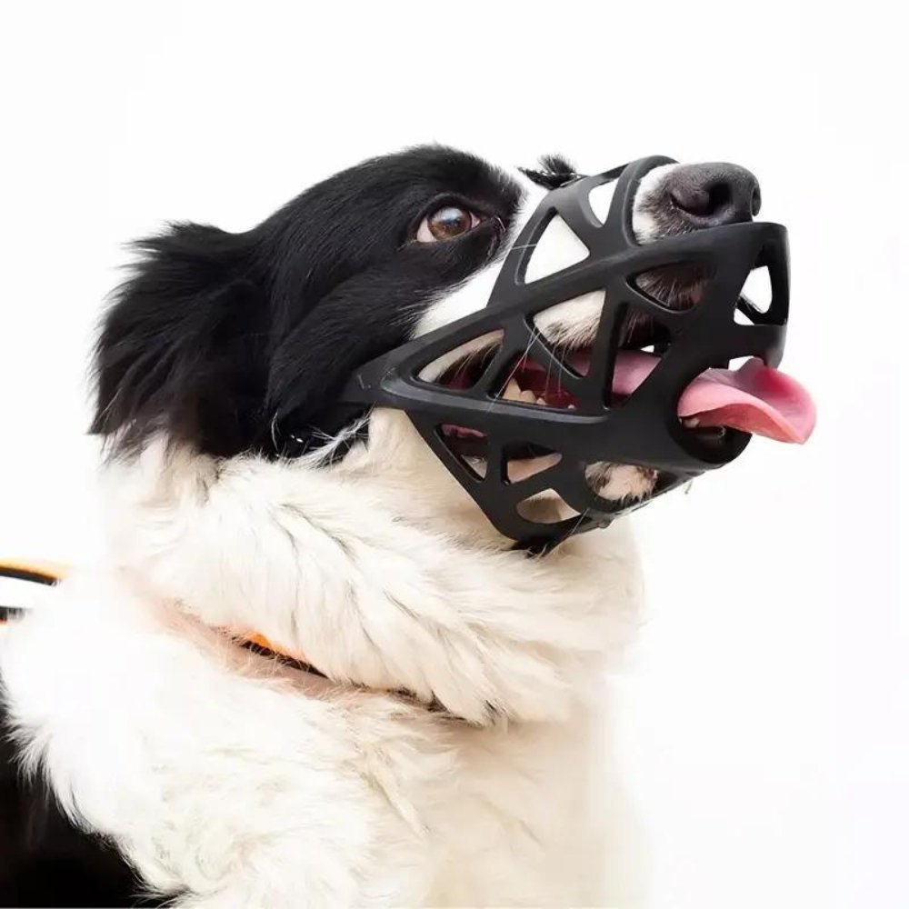 Gentle Dog Muzzle for Safe Everyday Situations